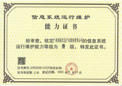 荣誉证书 信息系统运行维护服务的卓越贡献与专业认可